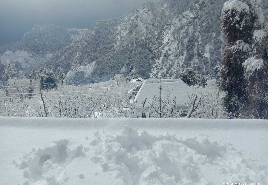 Photo of Outdoor in Mohal