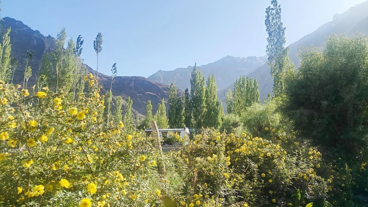 Photo of Outdoor in Hunder