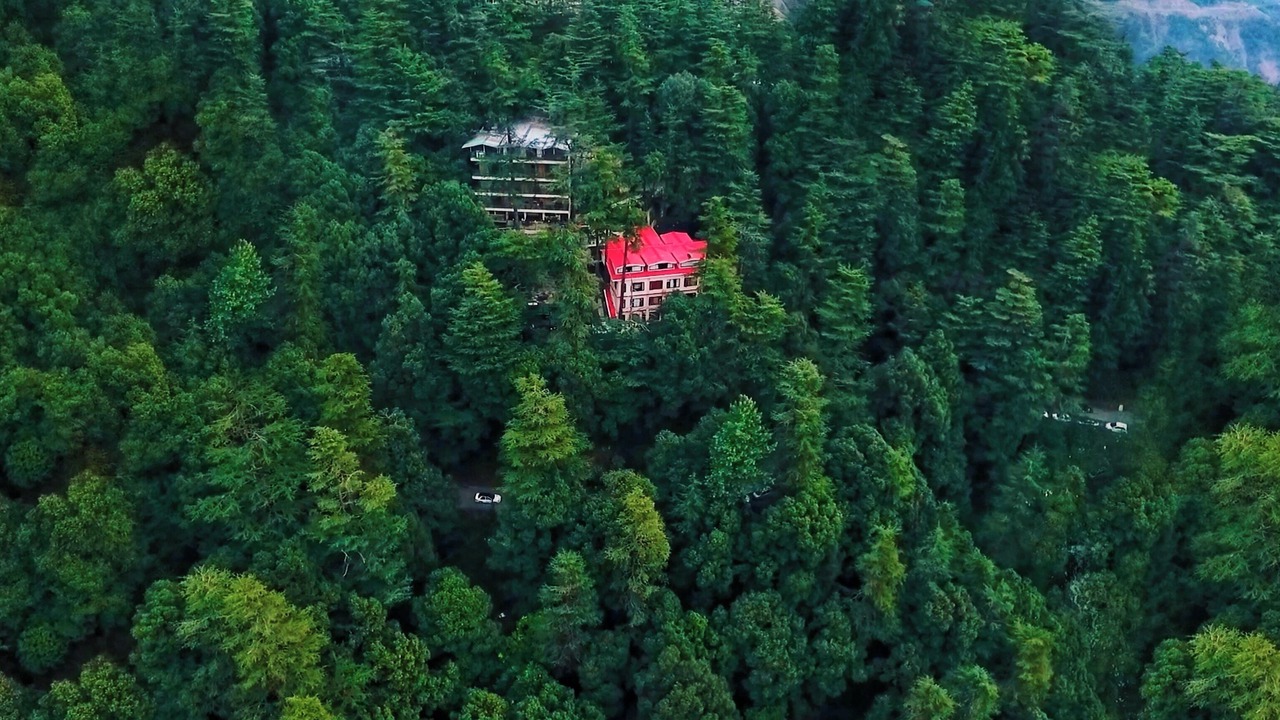 Photo of Outdoor in Shimla