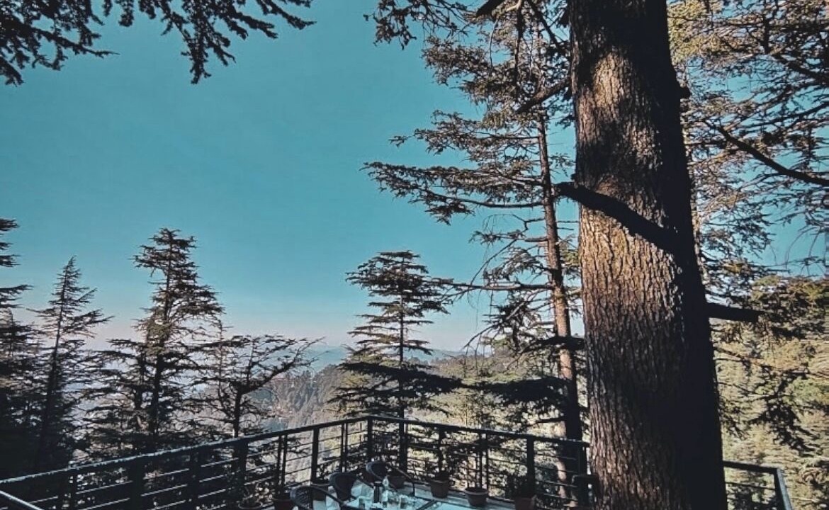 Photo of Outdoor in Shimla