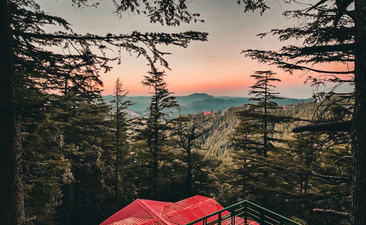 Photo of Others in Shimla