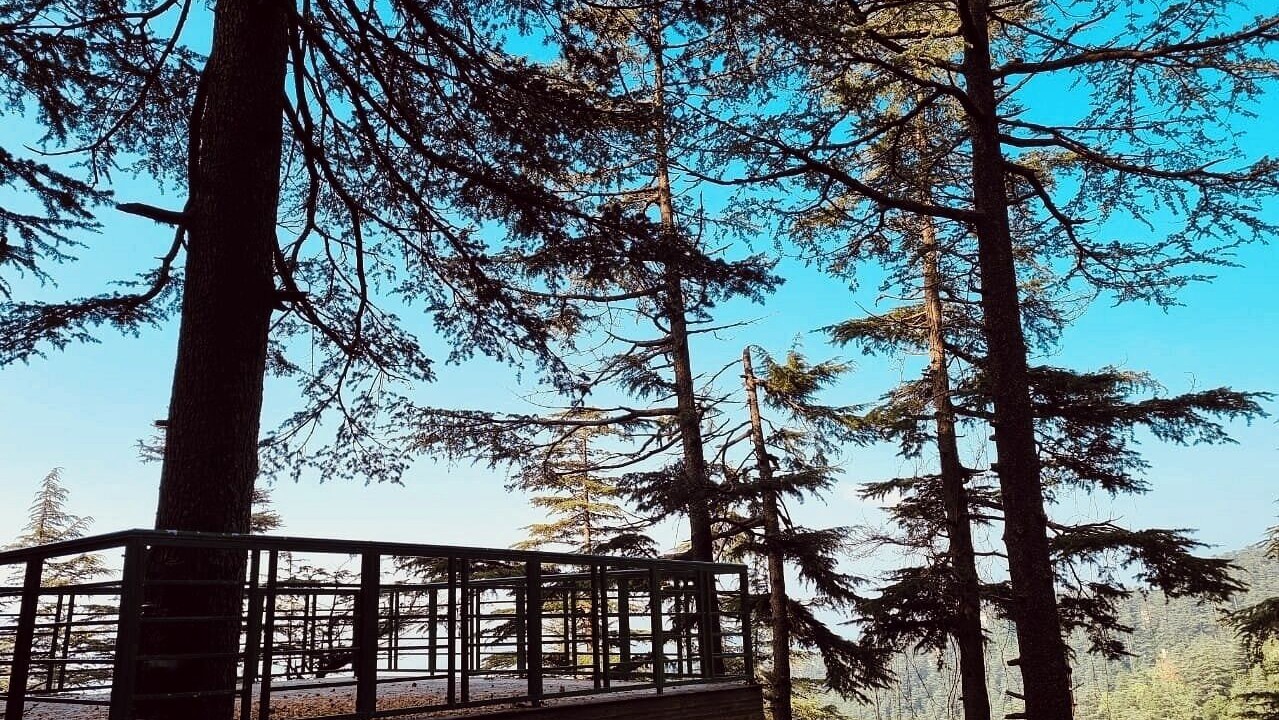 Photo of Outdoor in Shimla