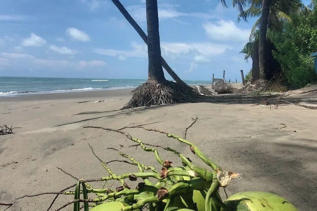 Photo of Outdoor in Saint Martin's Island