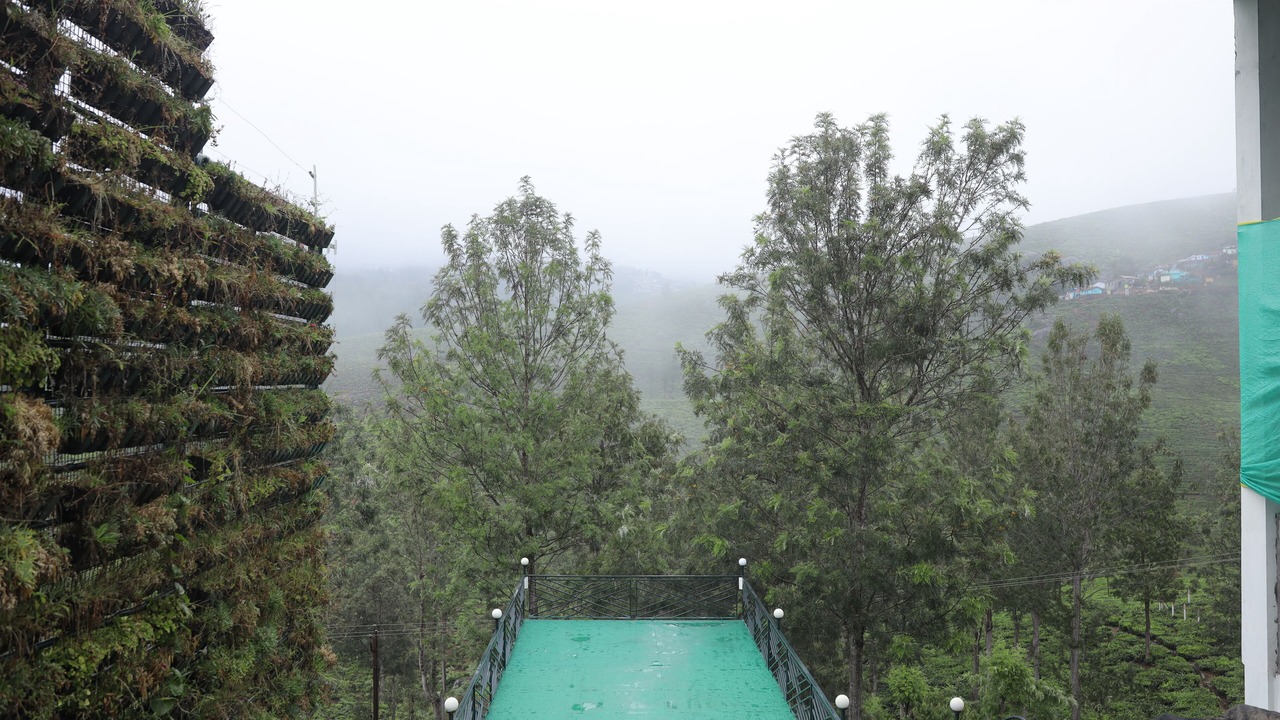 Photo of Outdoor in Wellington