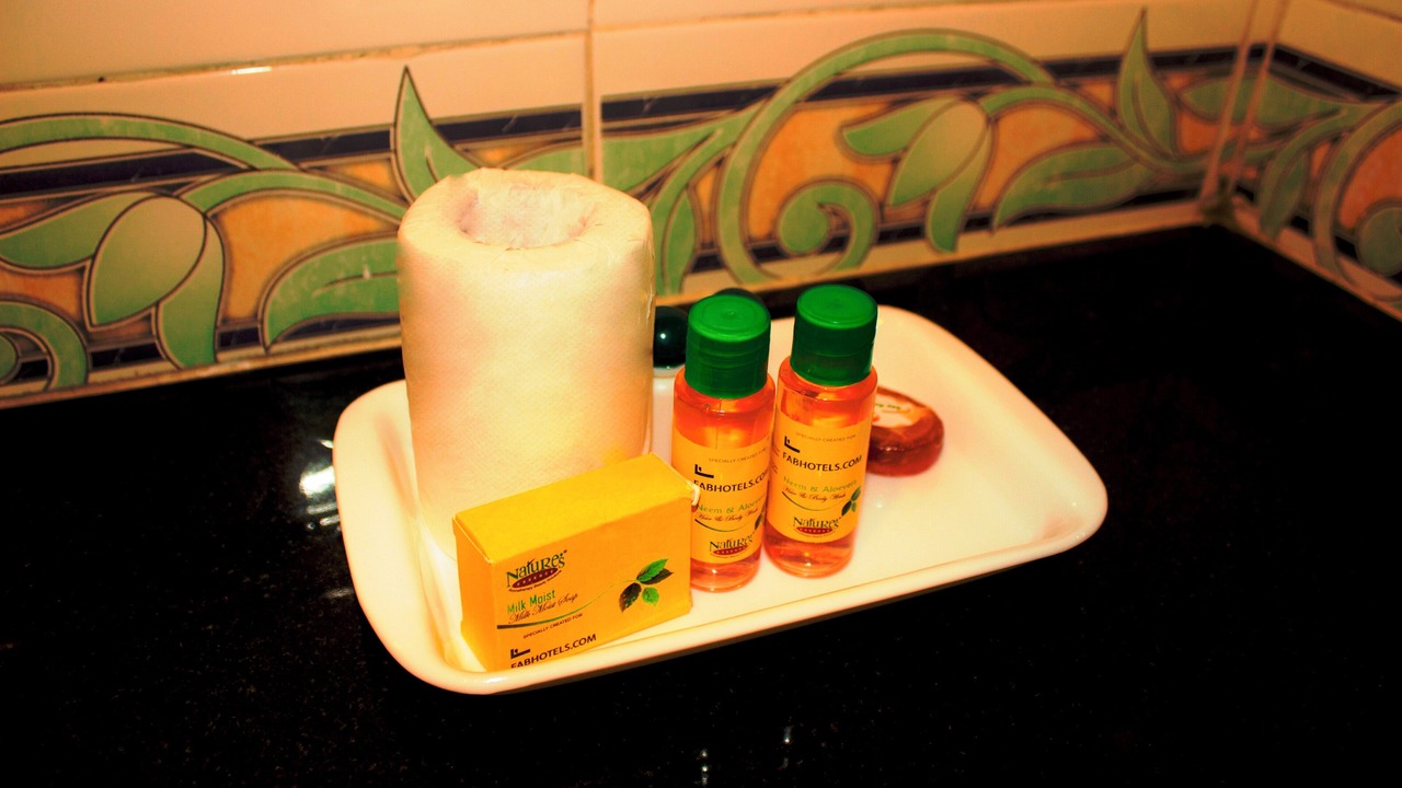 Photo of Bathroom in Rau