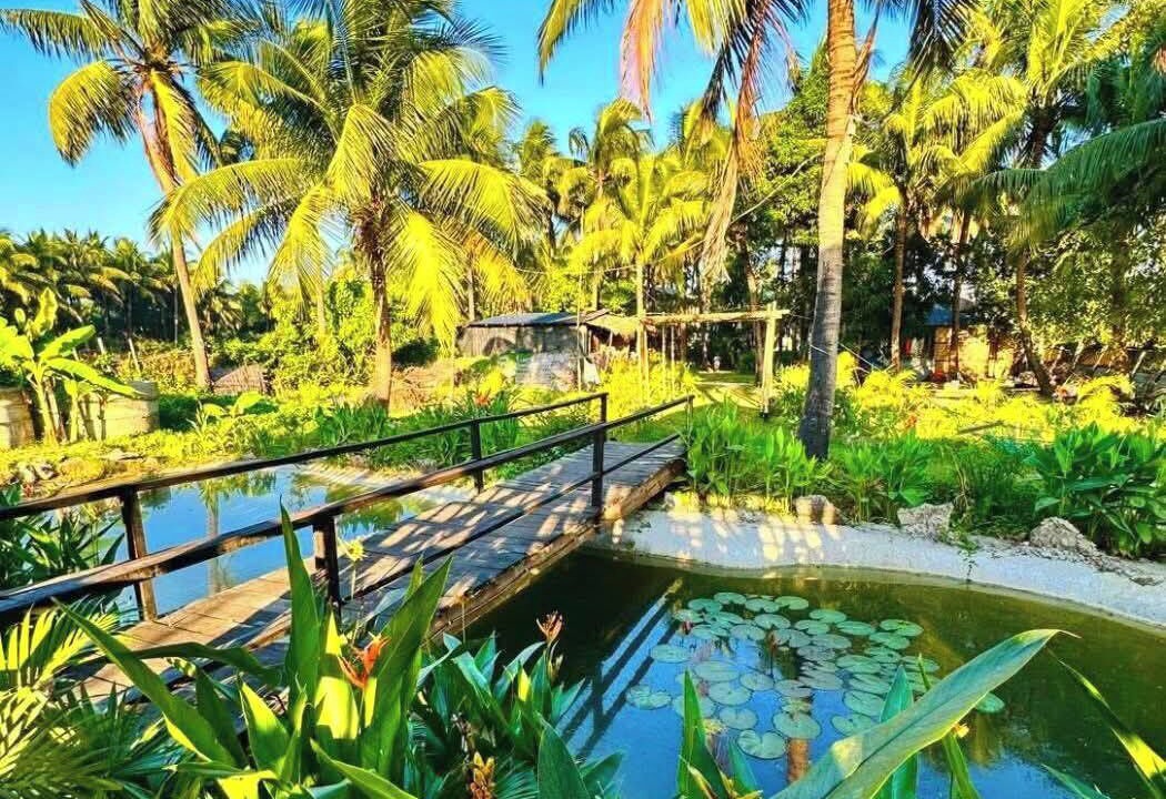Photo of Outdoor in Saint Martin's Island