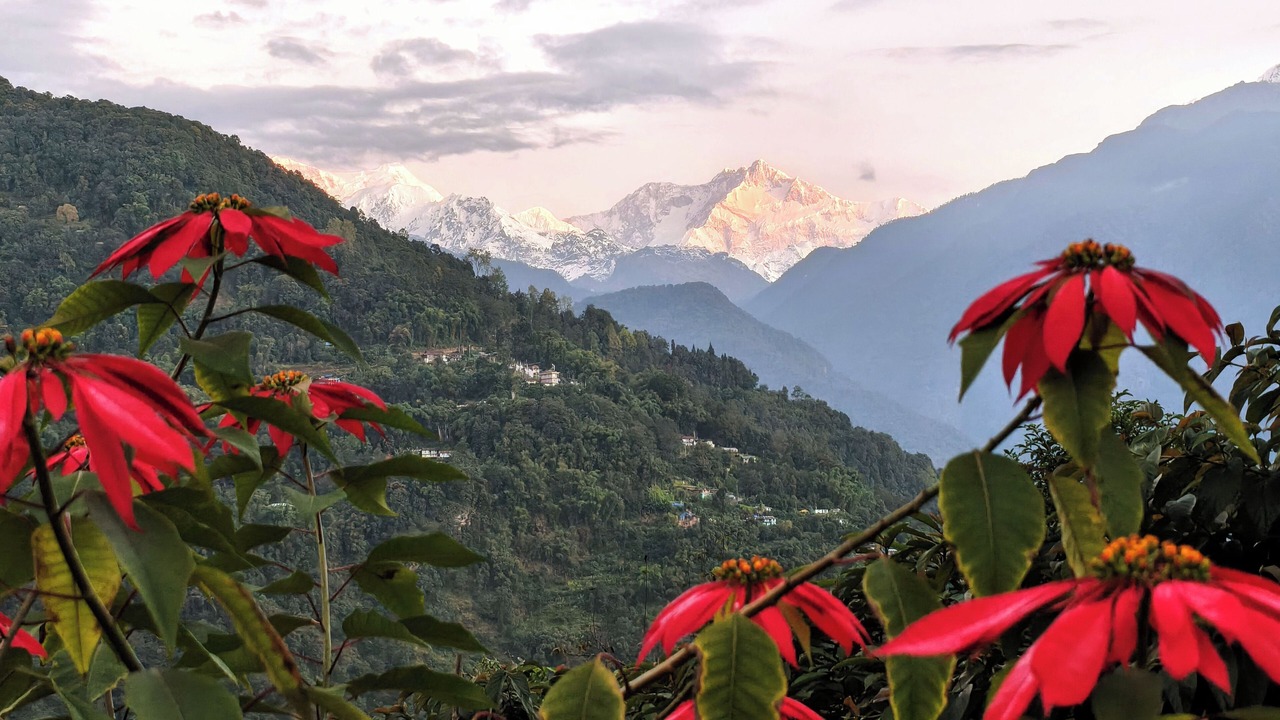 Photo of Outdoor in Pelling