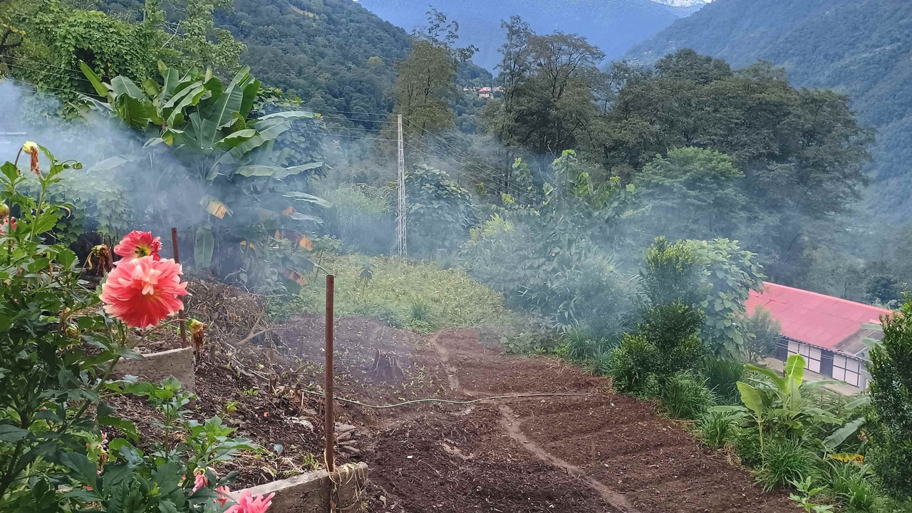 Photo of Outdoor in Pelling