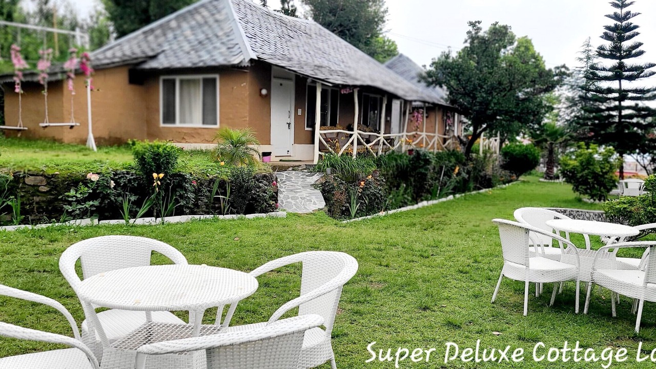 Photo of Outdoor in Shoghi