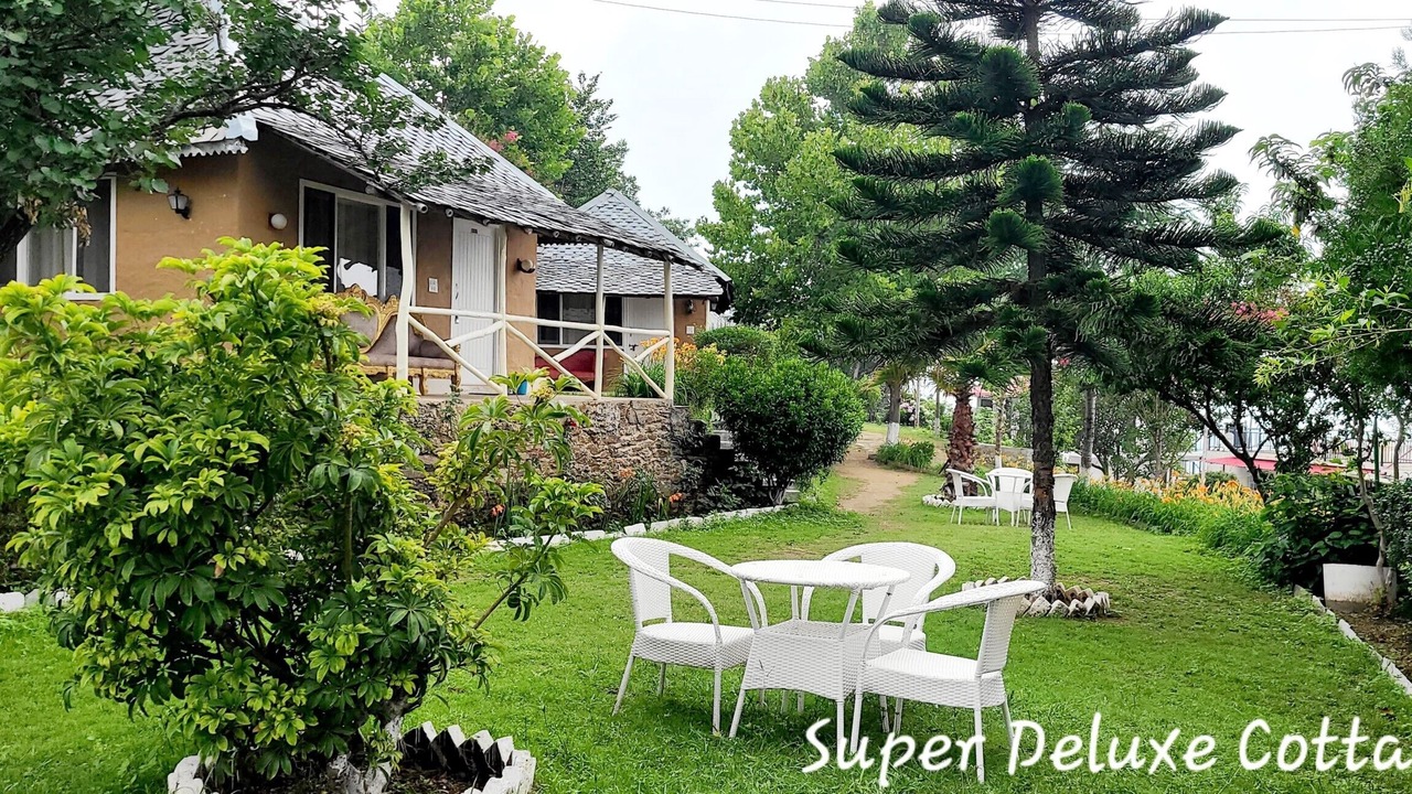 Photo of Outdoor in Shoghi