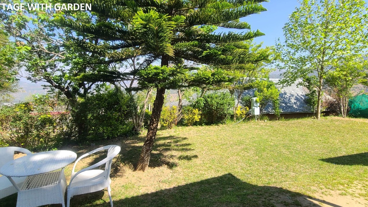 Photo of Outdoor in Shoghi