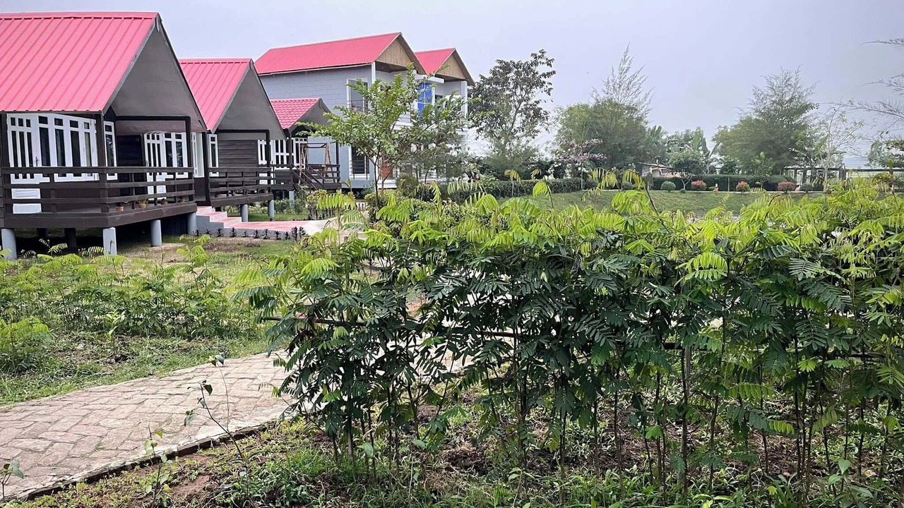 Photo of Outdoor in Sreemangal Upazila