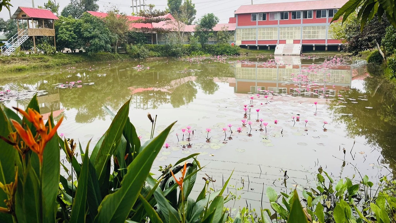 Photo of Outdoor in Sreemangal Upazila