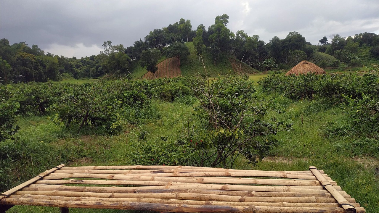 Photo of Outdoor in Sreemangal Upazila