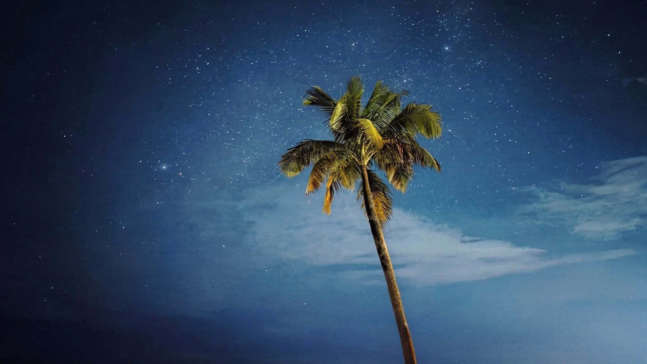Photo of Outdoor in Cox's Bazar