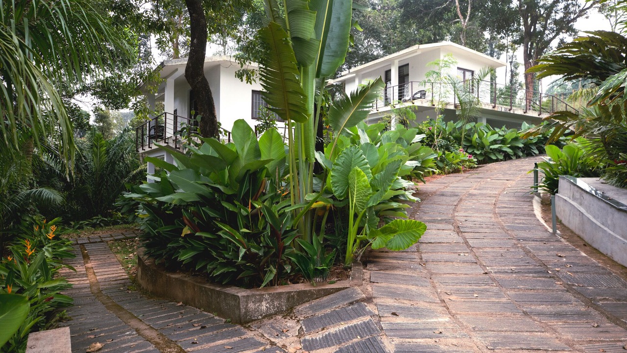 Photo of Outdoor in Belur