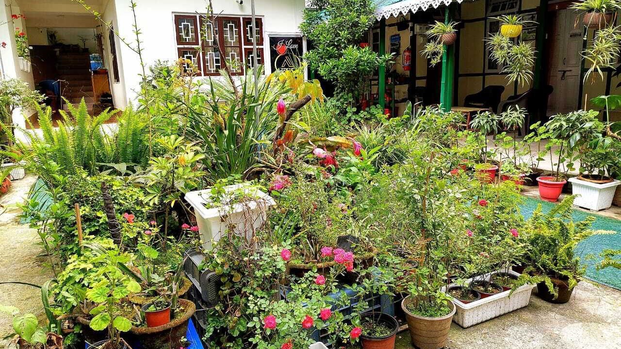 Photo of Outdoor in Sungava