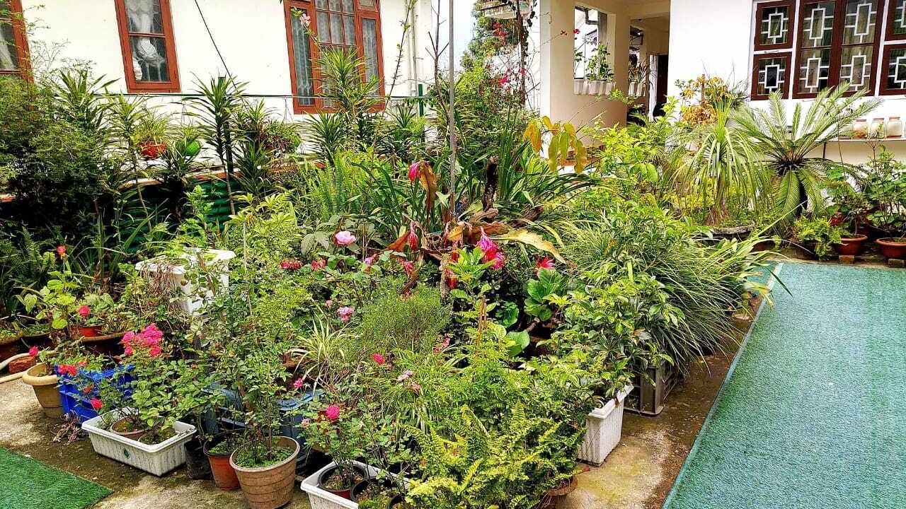 Photo of Outdoor in Sungava