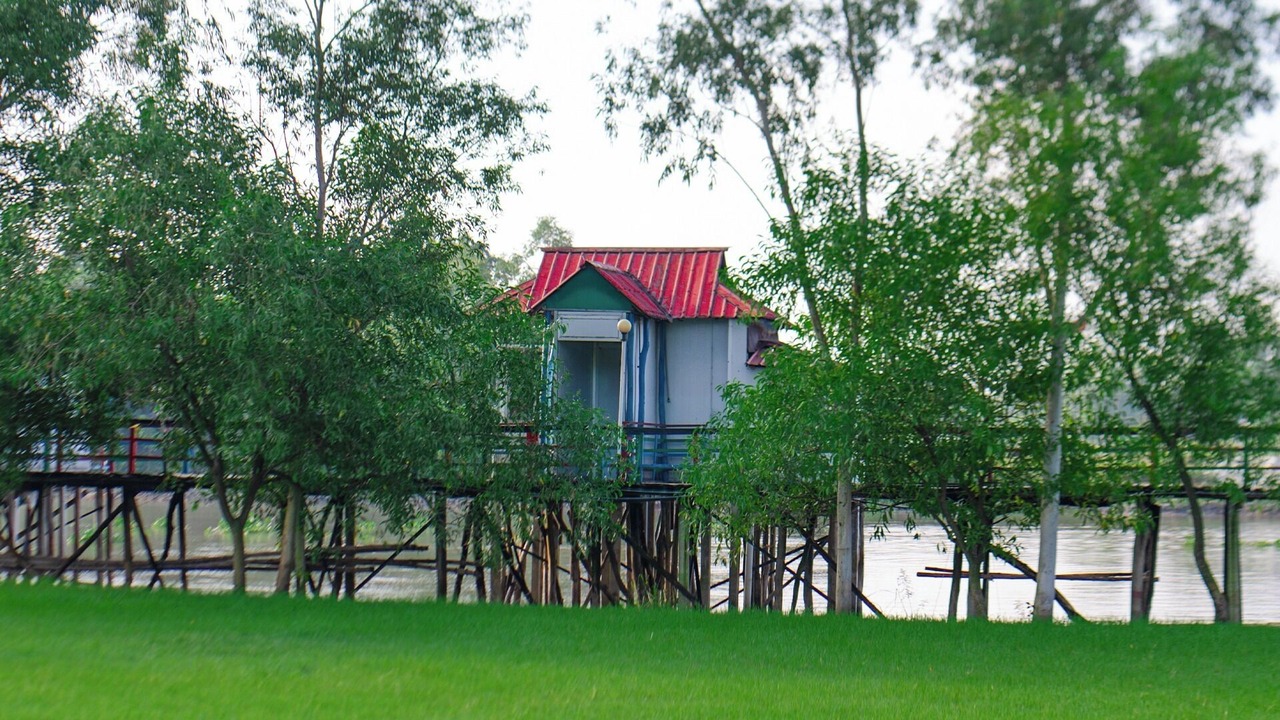 Photo of Outdoor in Pirozali