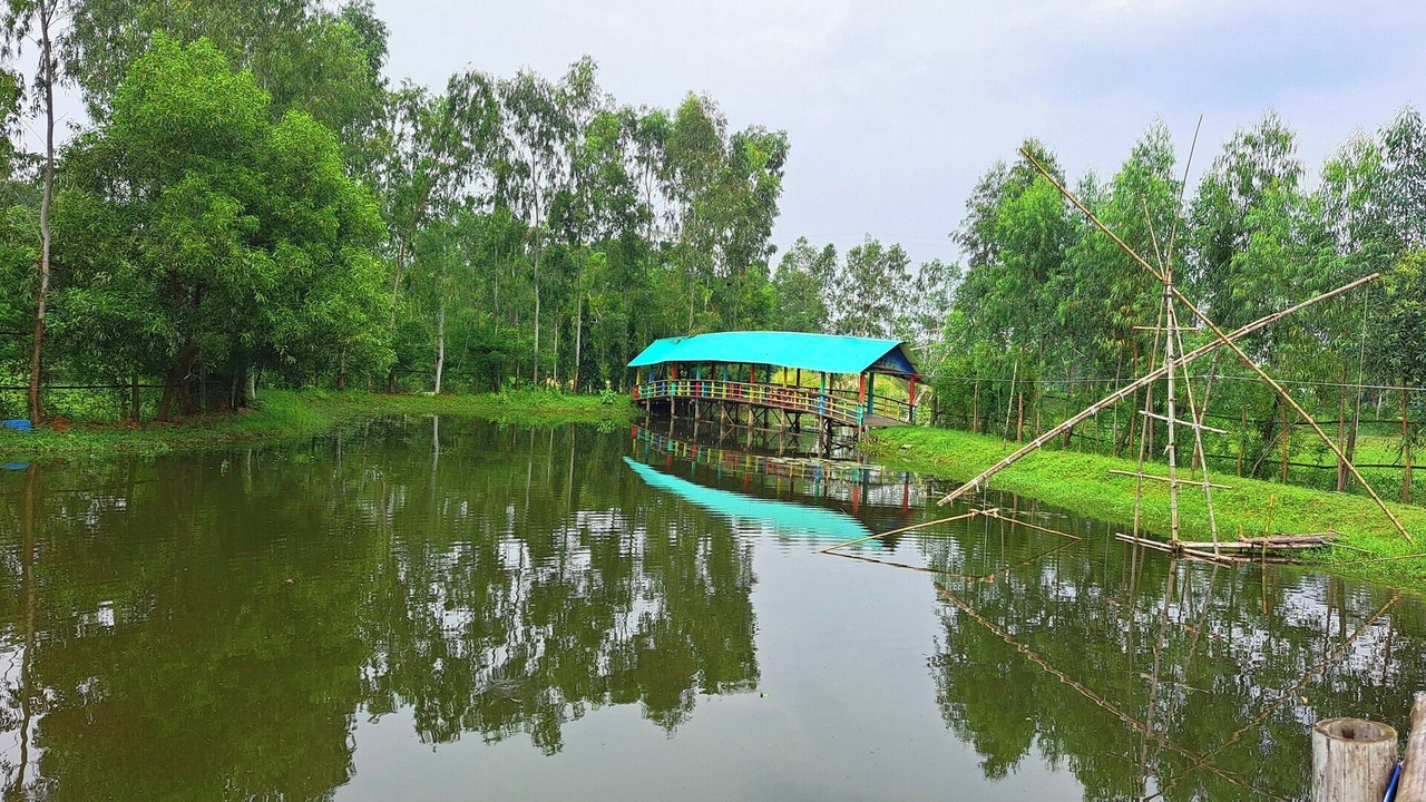 Photo of Outdoor in Pirozali