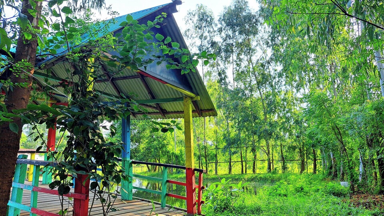 Photo of Livingroom in Pirozali