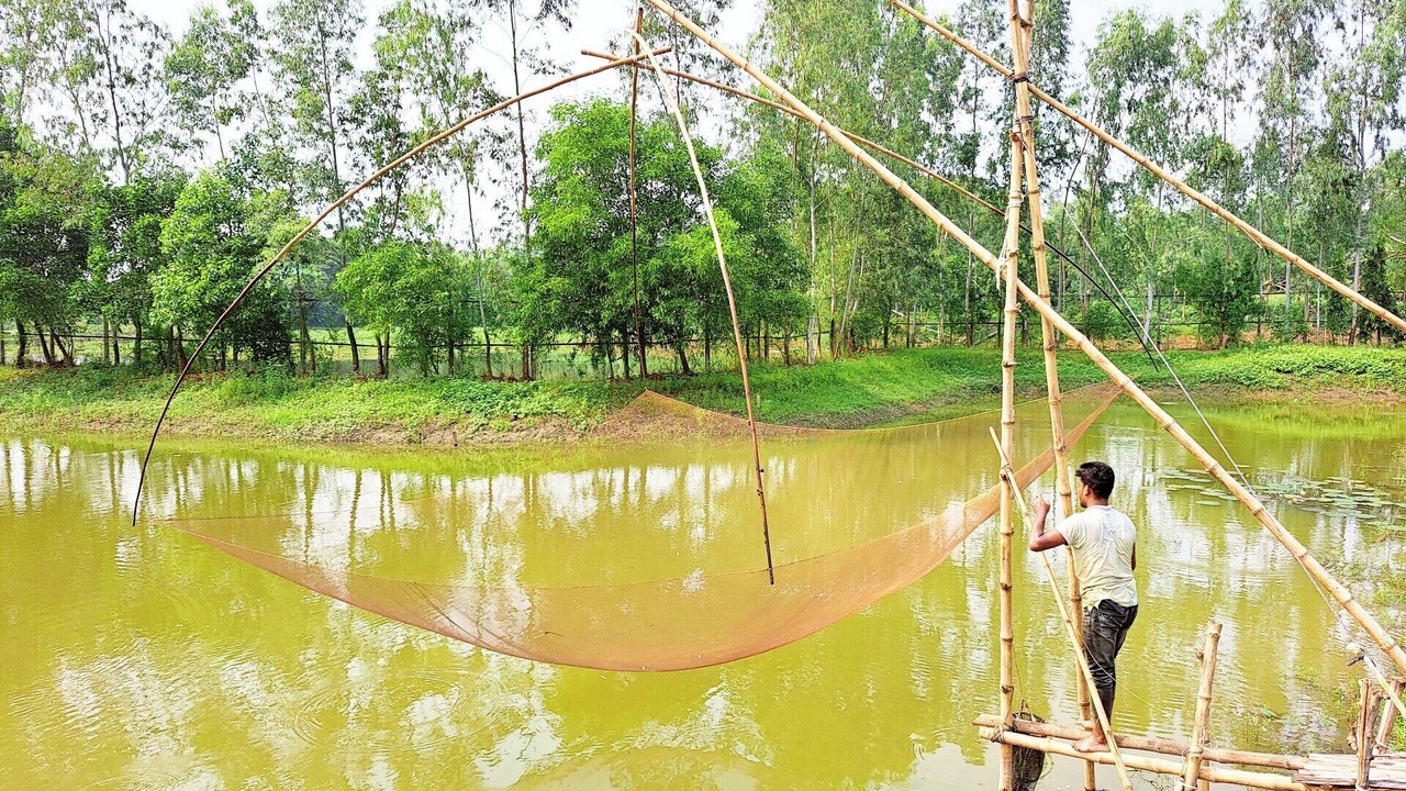Photo of Outdoor in Pirozali