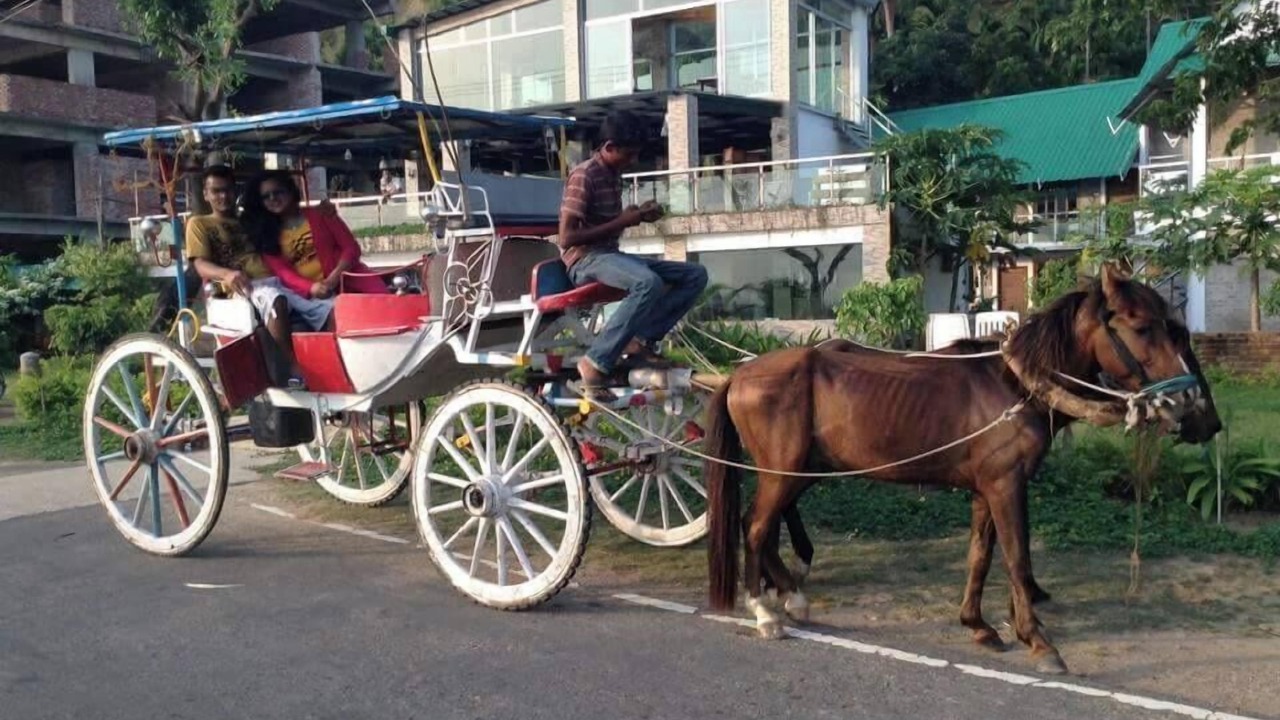Photo of Outdoor in Cox's Bazar