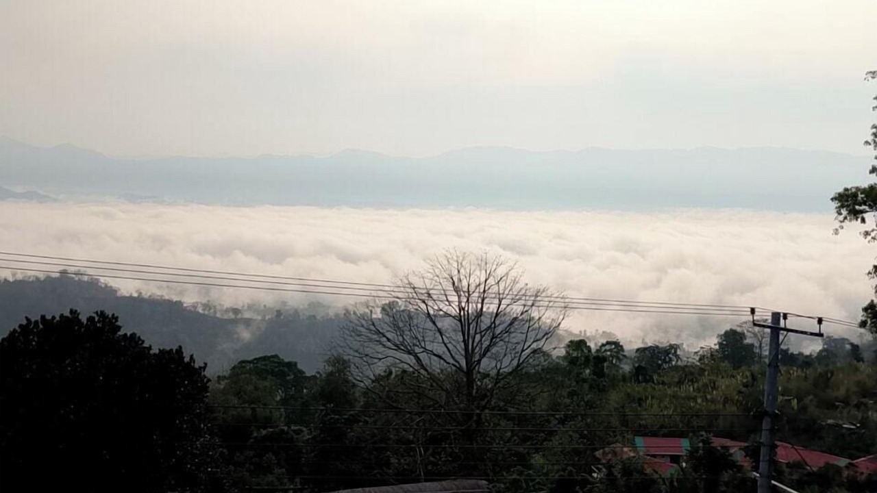 Photo of Outdoor in Sajek
