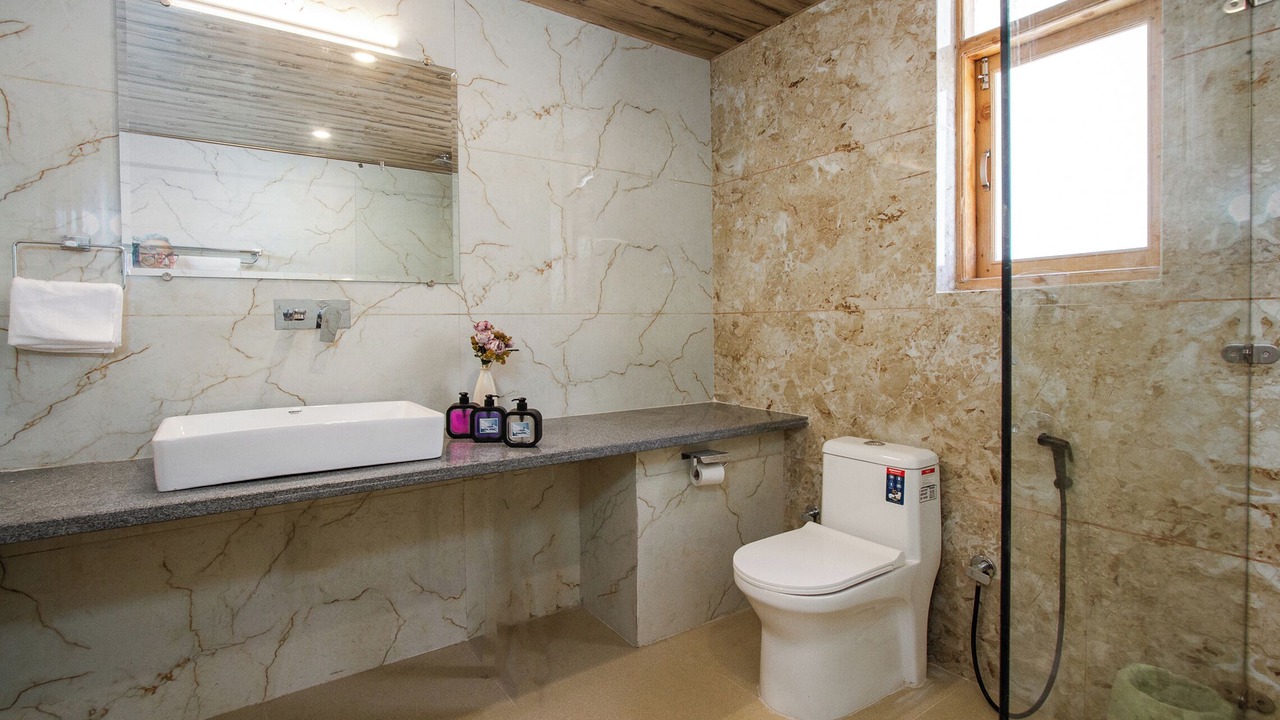 Photo of Bathroom in Manali