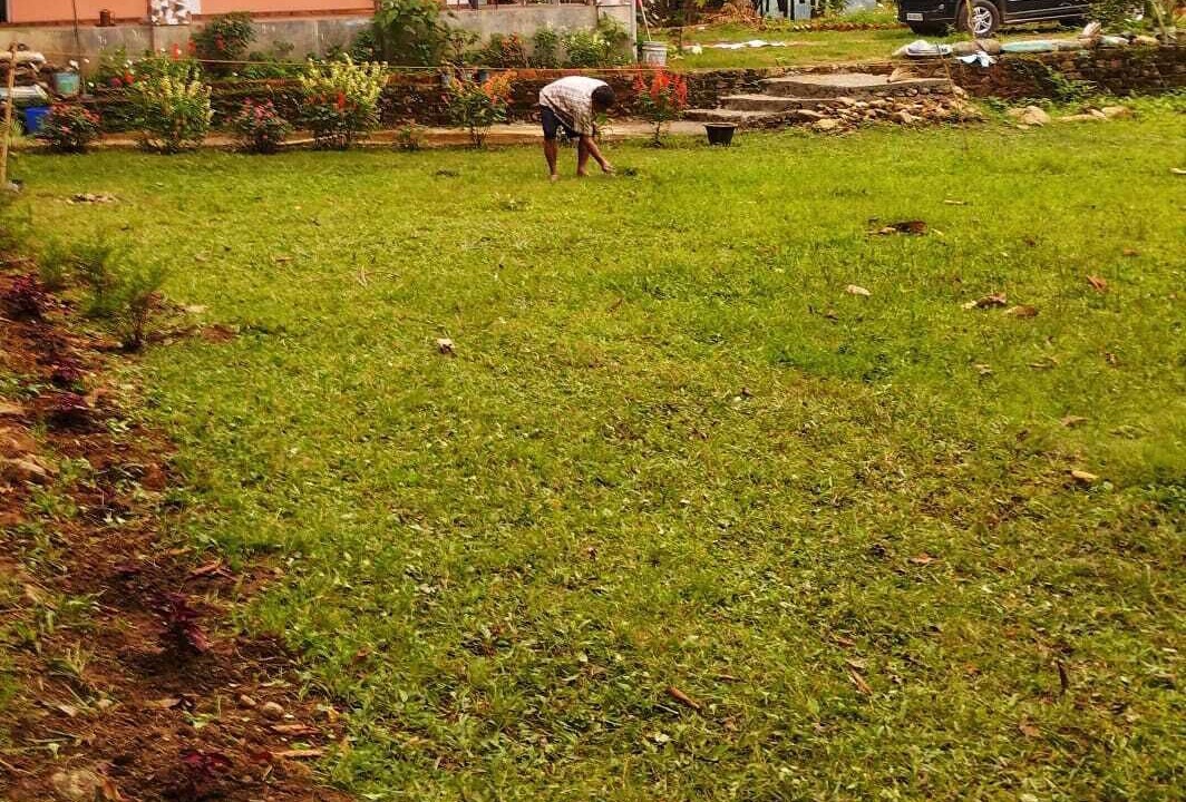 Photo of Outdoor in Kumai