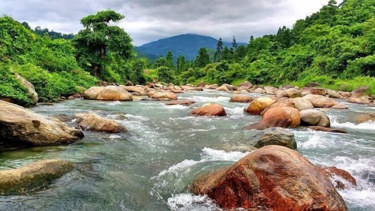 Photo of Outdoor in Kumai
