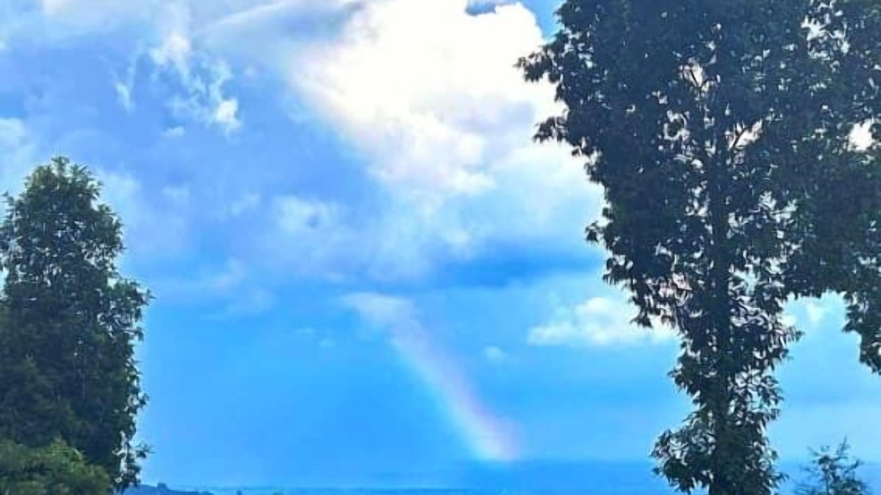 Photo of Outdoor in Kumai
