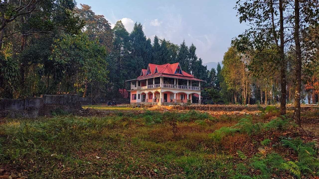Photo of Outdoor in Kumai
