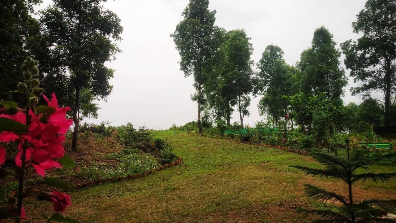 Photo of Outdoor in Kumai