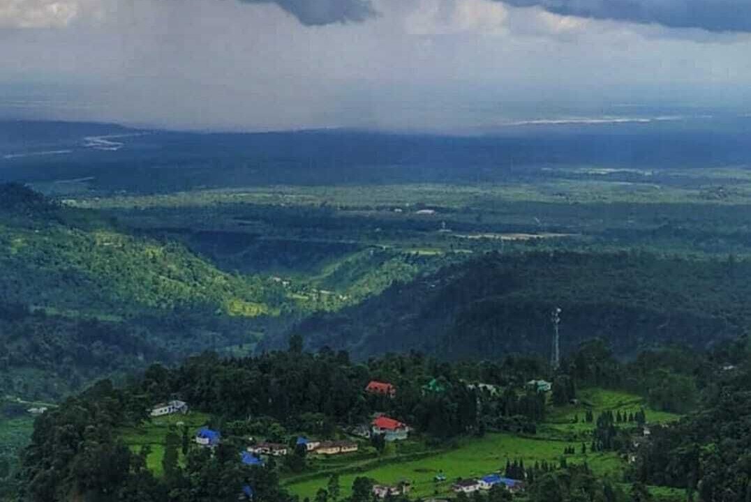 Photo of Outdoor in Kumai