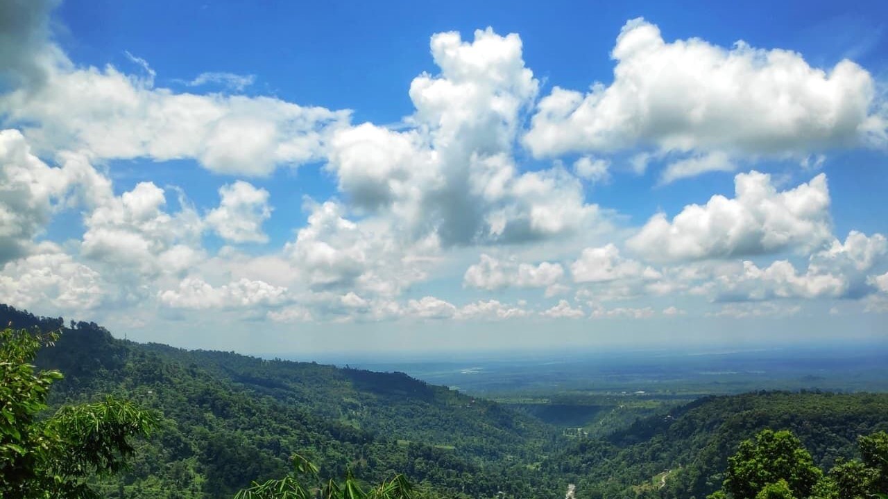 Photo of Outdoor in Kumai