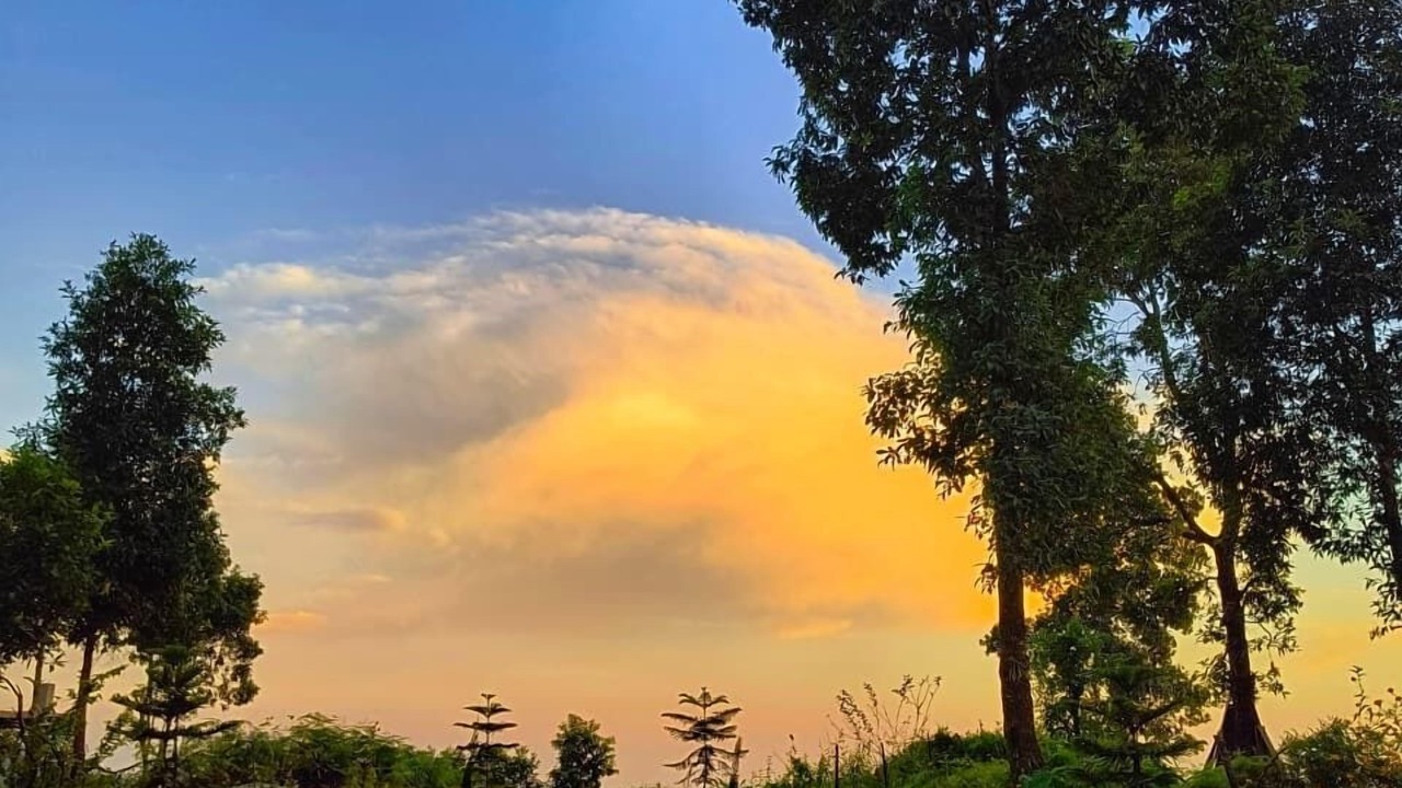 Photo of Outdoor in Kumai