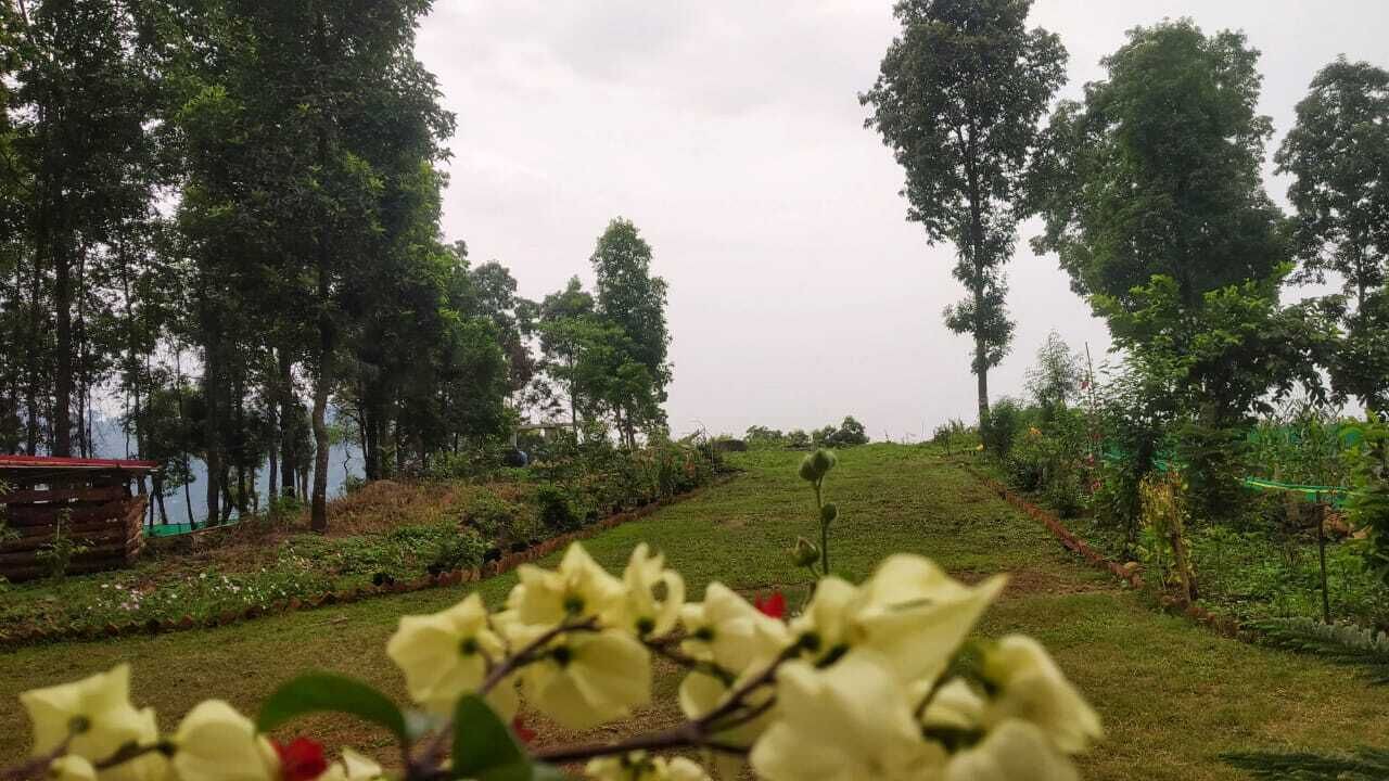 Photo of Outdoor in Kumai