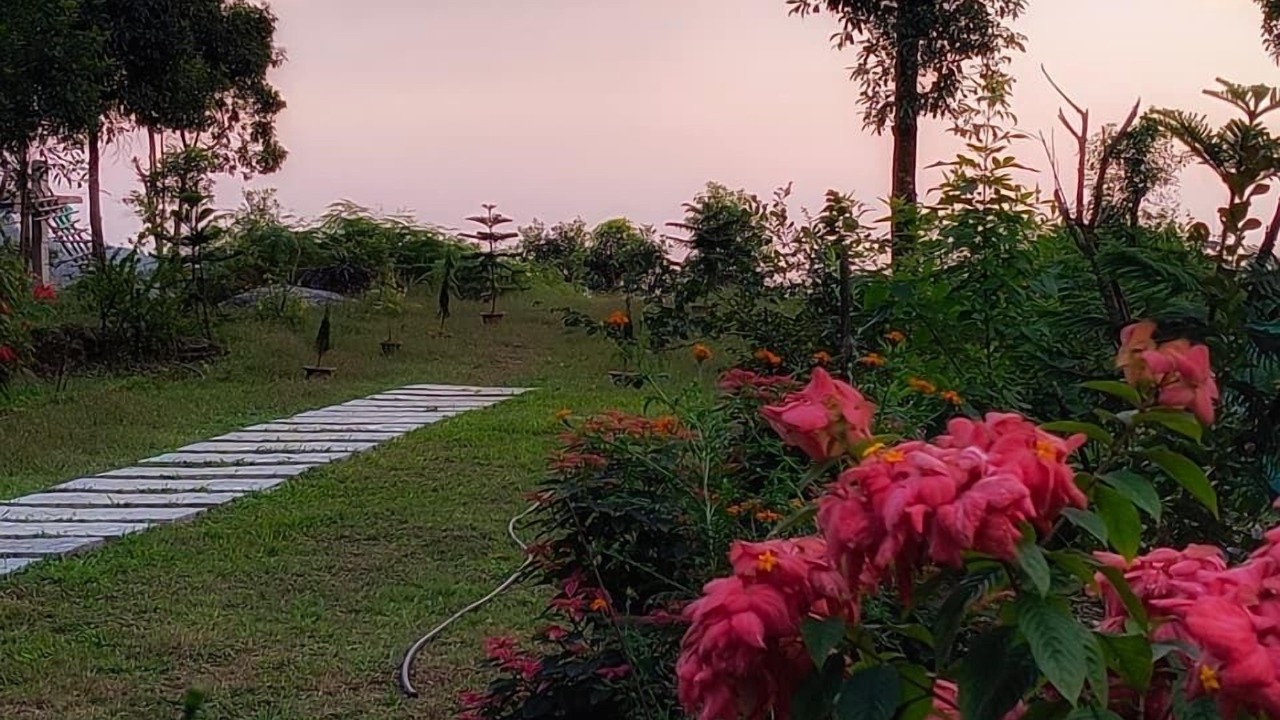 Photo of Outdoor in Kumai