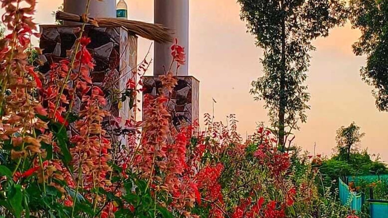 Photo of Outdoor in Kumai