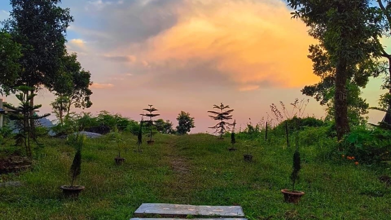 Photo of Outdoor in Kumai