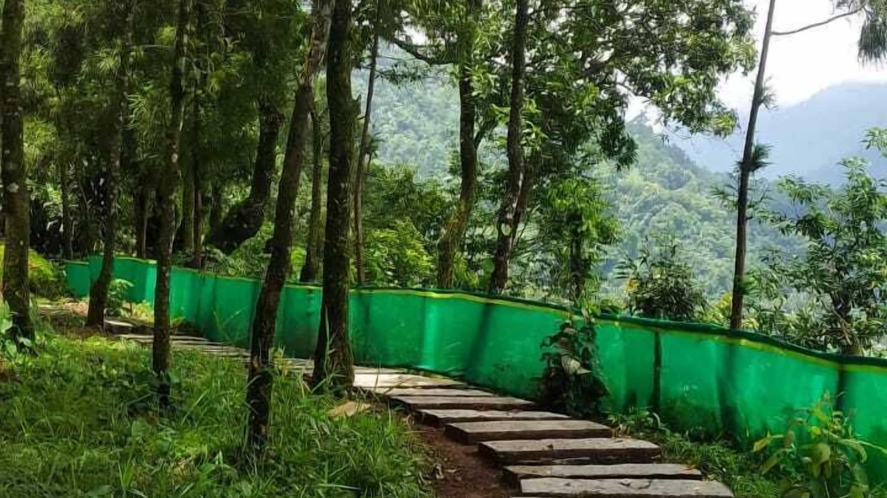 Photo of Outdoor in Kumai