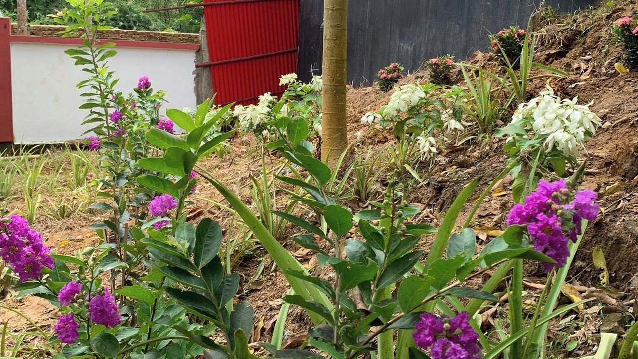 Photo of Outdoor in Sreemangal Upazila