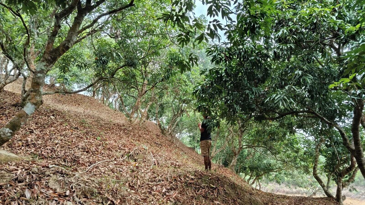 Photo of Outdoor in Sreemangal