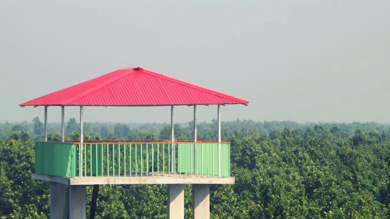 Photo of Outdoor in Pirozali