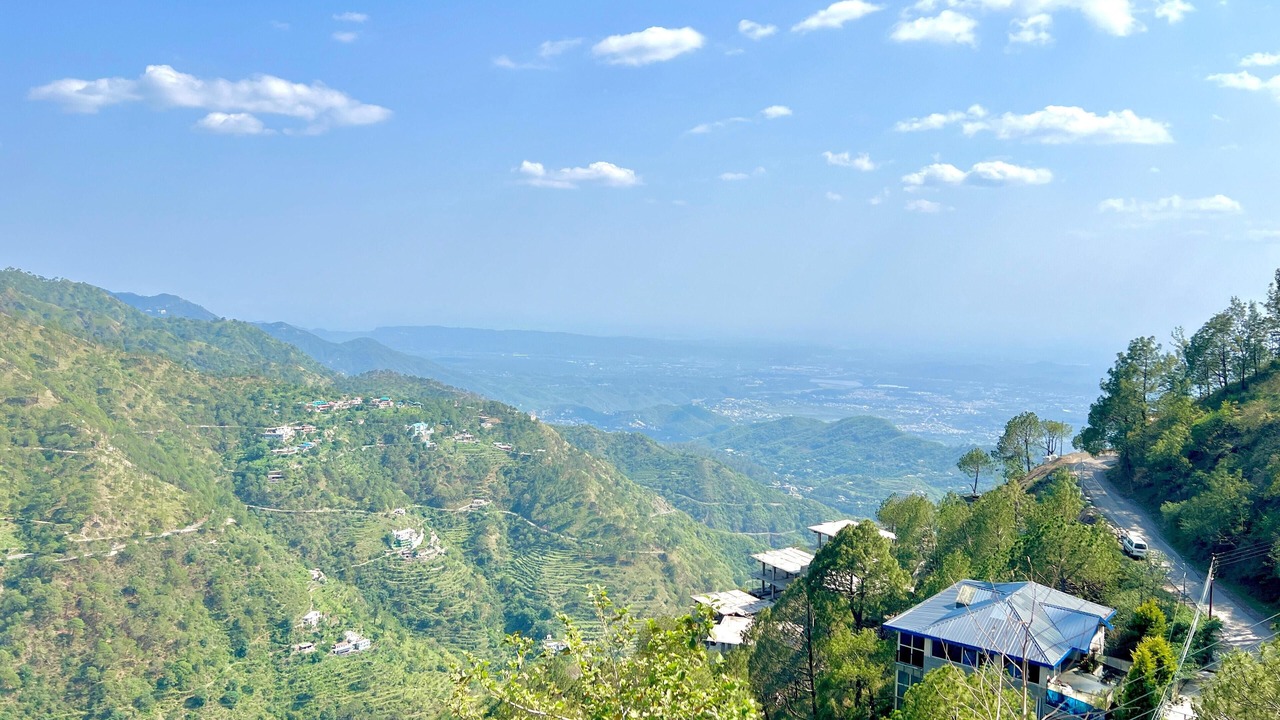 Photo of Others in Kasauli