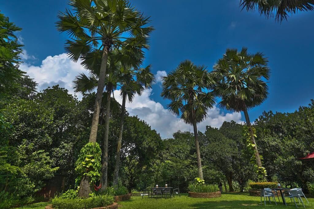Photo of Outdoor in Dhaka Division