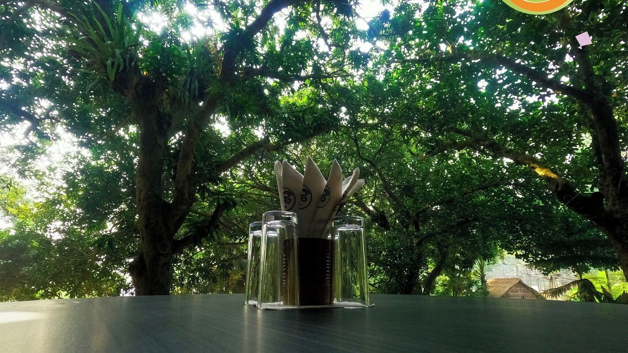 Photo of Outdoor in Dhaka Division