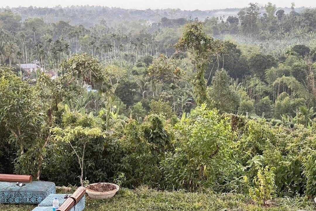 Photo of Outdoor in Sreemangal Upazila