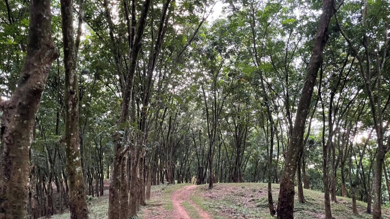 Photo of Outdoor in Sreemangal Upazila